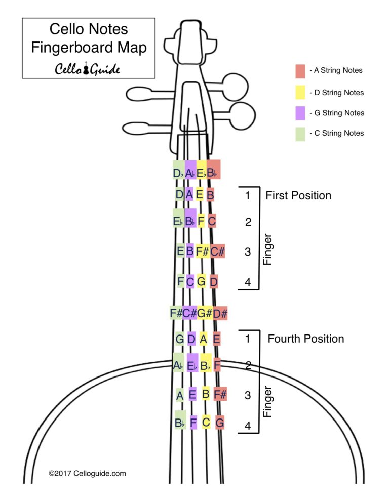 Cello Notes On The Fingerboard Celloguide