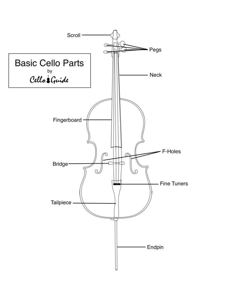 Parts of the Cello CelloGuide